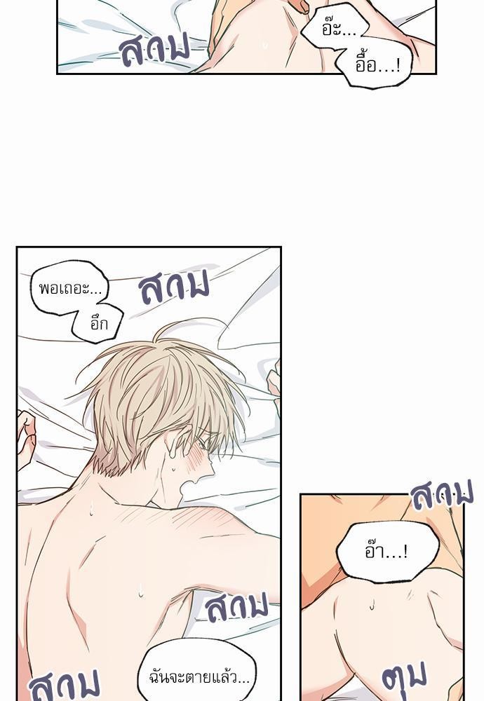 เน€เธเธ•เธเธณเธเธฑเธ”เธฃเธฑเธ เธ•เธญเธเธ—เธตเน 36 (5)