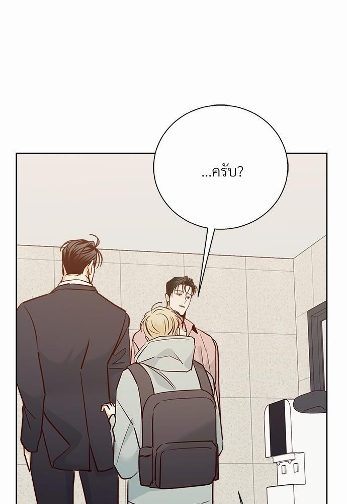 เธฃเนเธฒเธเธชเธฐเธ”เธงเธเธฃเธฑเธ 24 เธเธก. 41 17