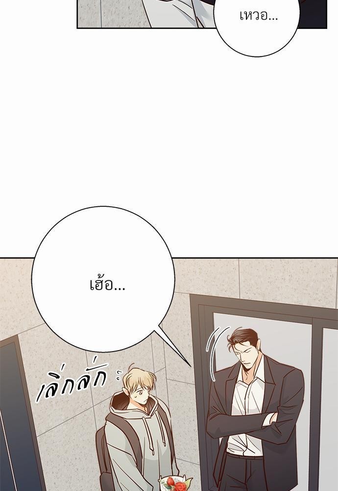 เธฃเนเธฒเธเธชเธฐเธ”เธงเธเธฃเธฑเธ 24 เธเธก. 41 39
