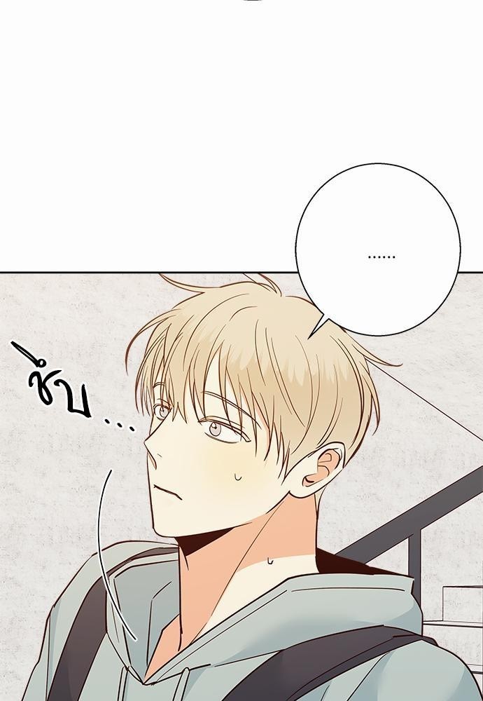 เธฃเนเธฒเธเธชเธฐเธ”เธงเธเธฃเธฑเธ 24 เธเธก. 41 23
