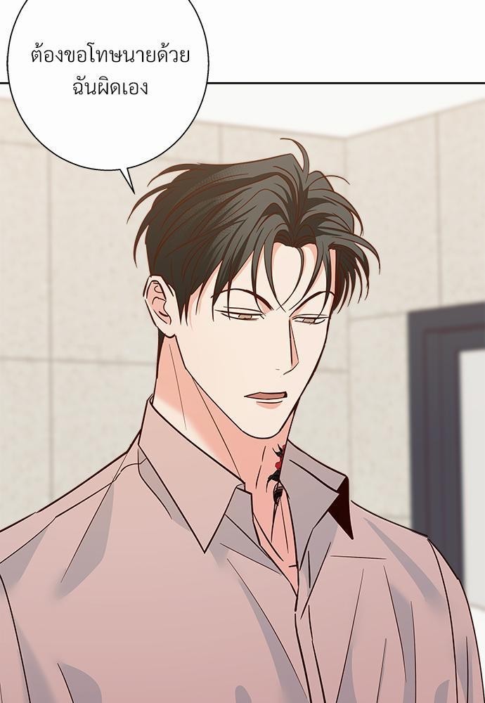 เธฃเนเธฒเธเธชเธฐเธ”เธงเธเธฃเธฑเธ 24 เธเธก. 41 19