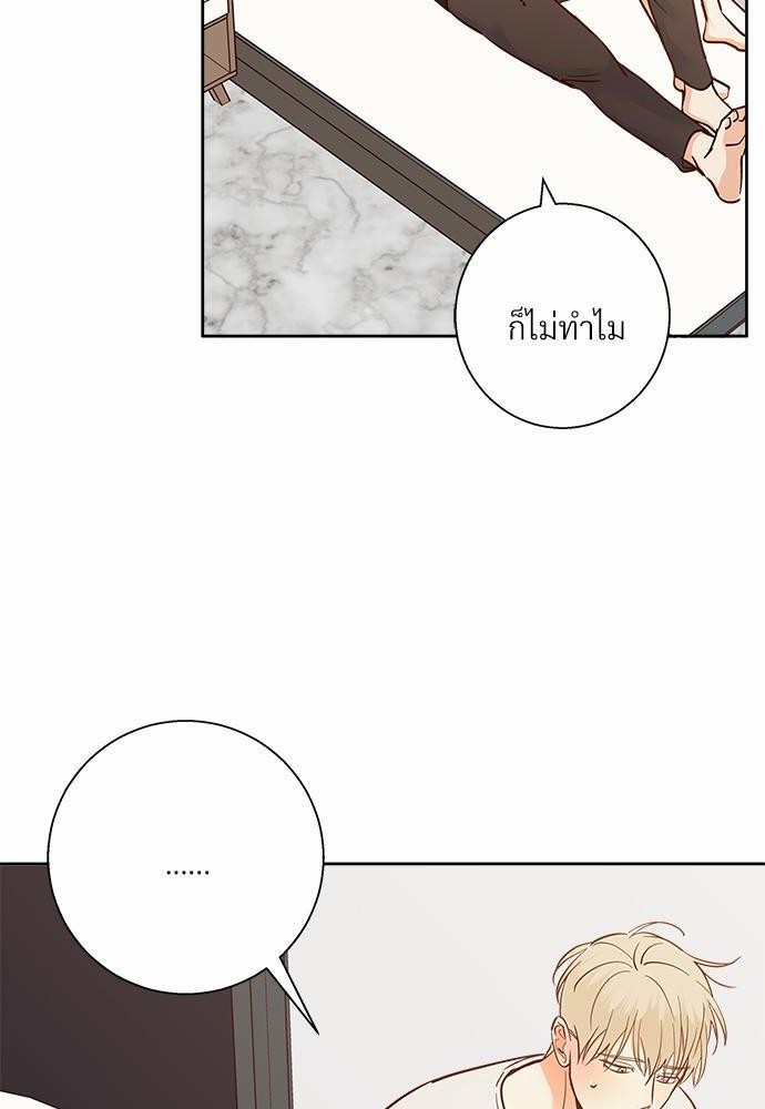 เธฃเนเธฒเธเธชเธฐเธ”เธงเธเธฃเธฑเธ 24 เธเธก. เธ•เธญเธเธ—เธตเน 40 08