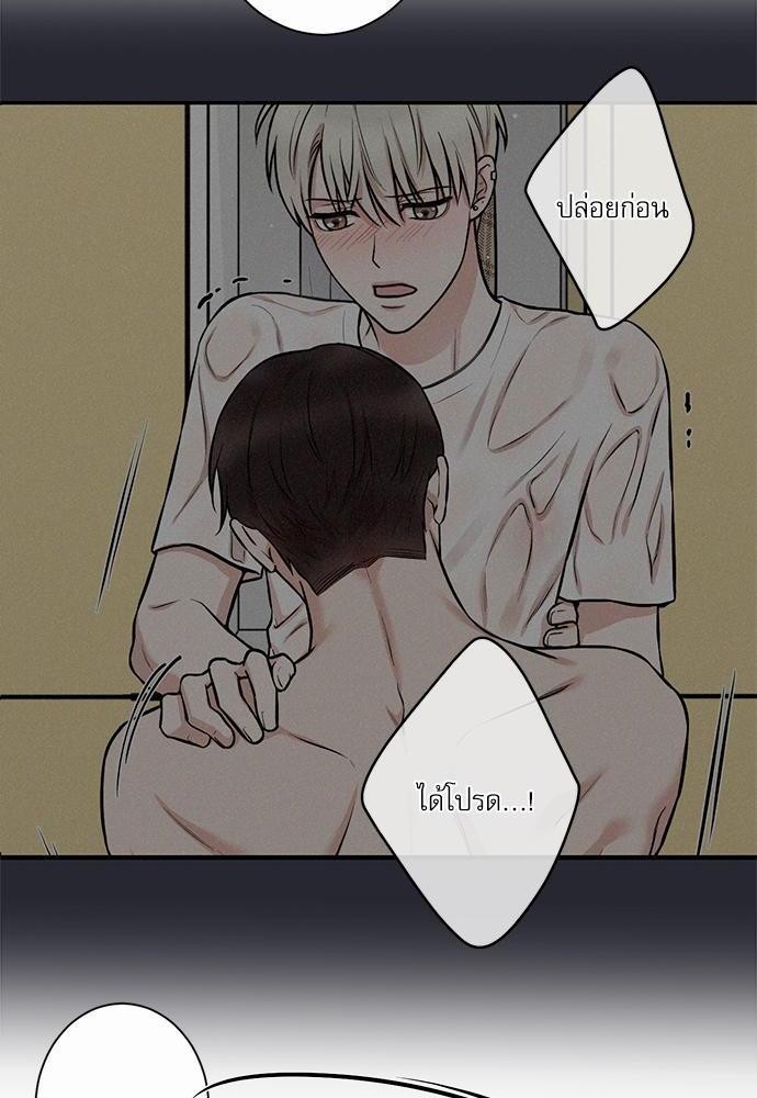 INSECRET 10 50
