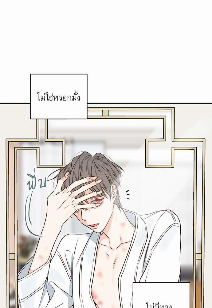 เธเธงเธฒเธกเธฅเธฑเธเธเธญเธเธเธเธฑเธเธเธฒเธ K 18 05