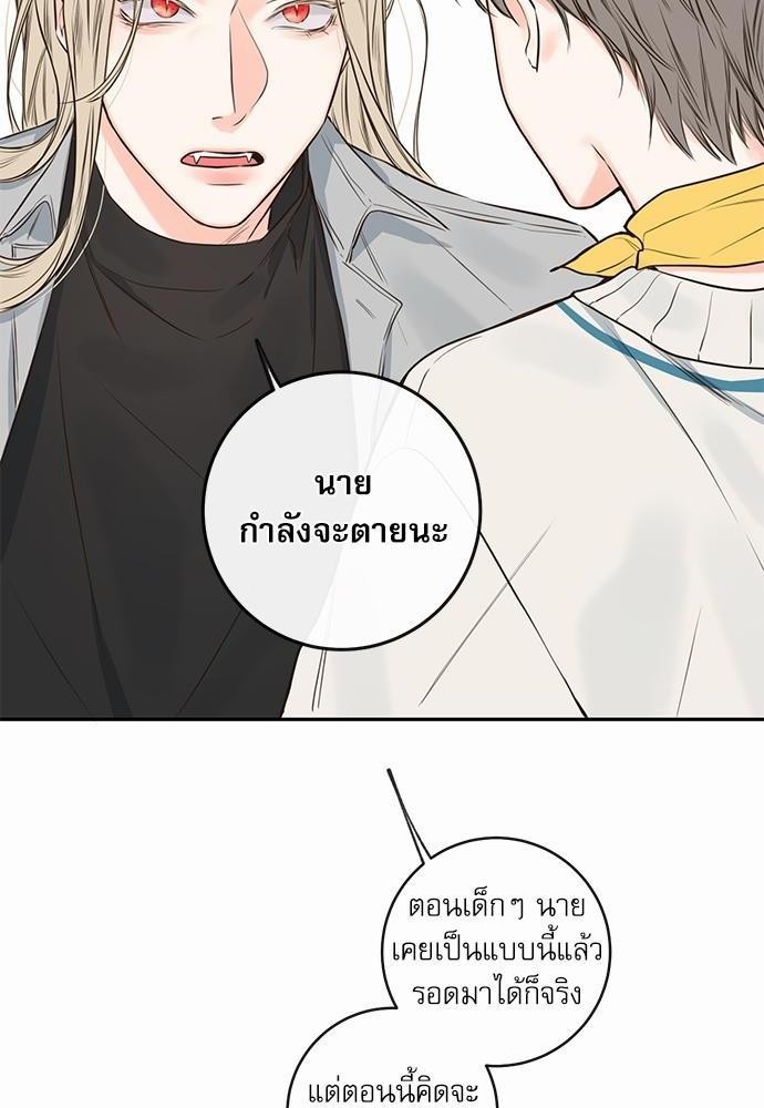 เธเธงเธฒเธกเธฅเธฑเธเธเธญเธเธเธเธฑเธเธเธฒเธ K 18 84