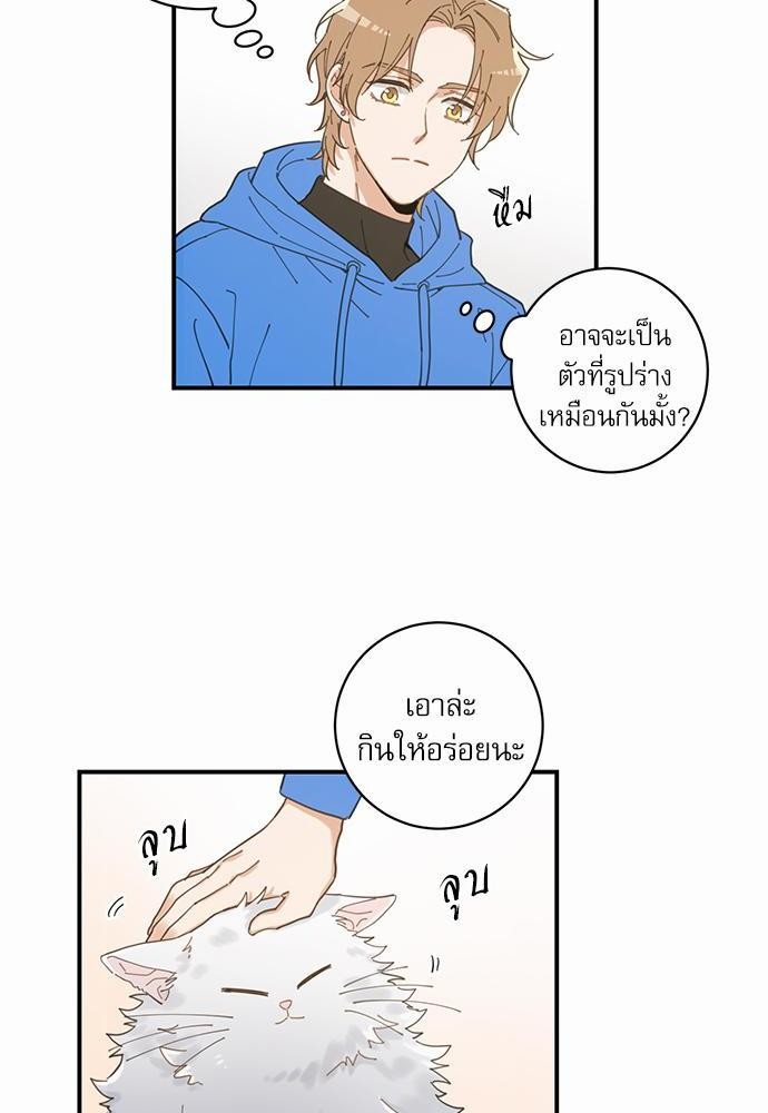 อ่านมังงะวาย