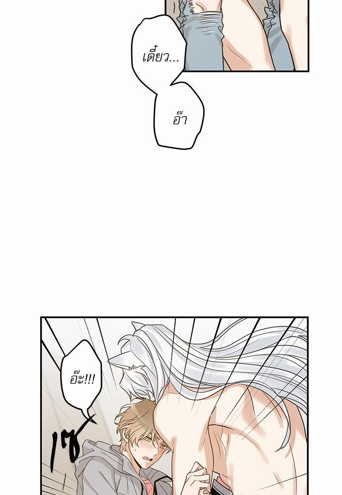 อ่านมังงะวาย
