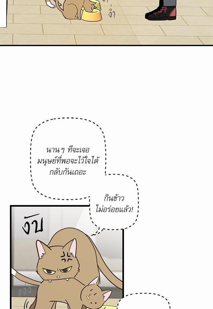 อ่านมังงะวาย