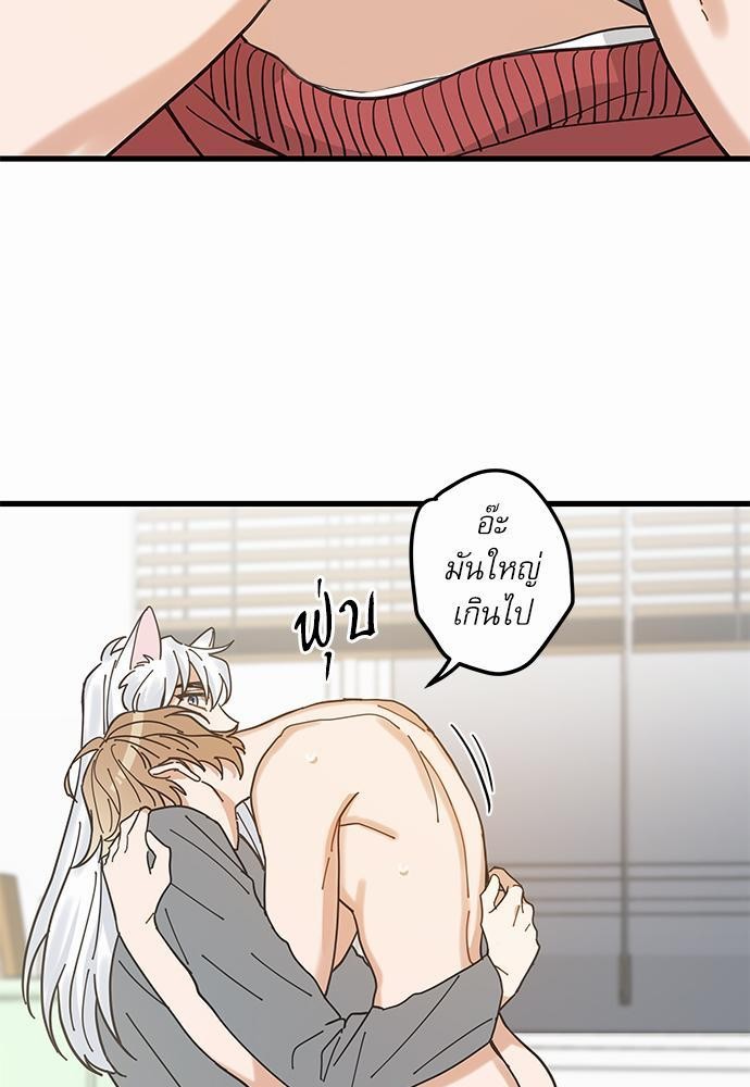 อ่านมังงะวาย