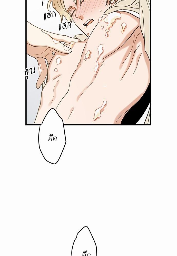 อ่านมังงะวาย