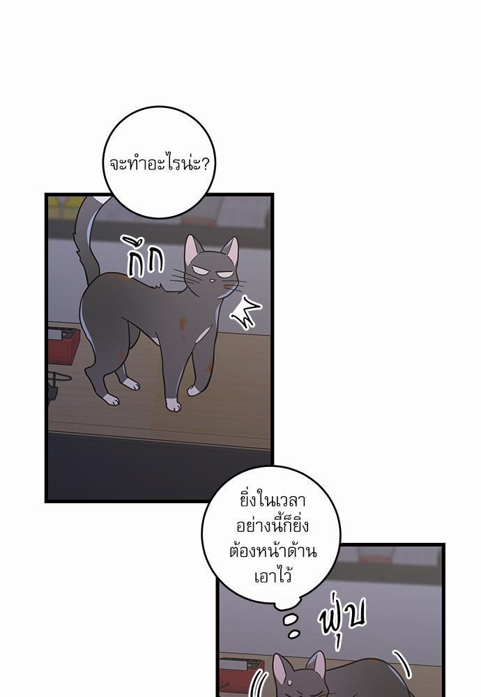 อ่านมังงะวาย