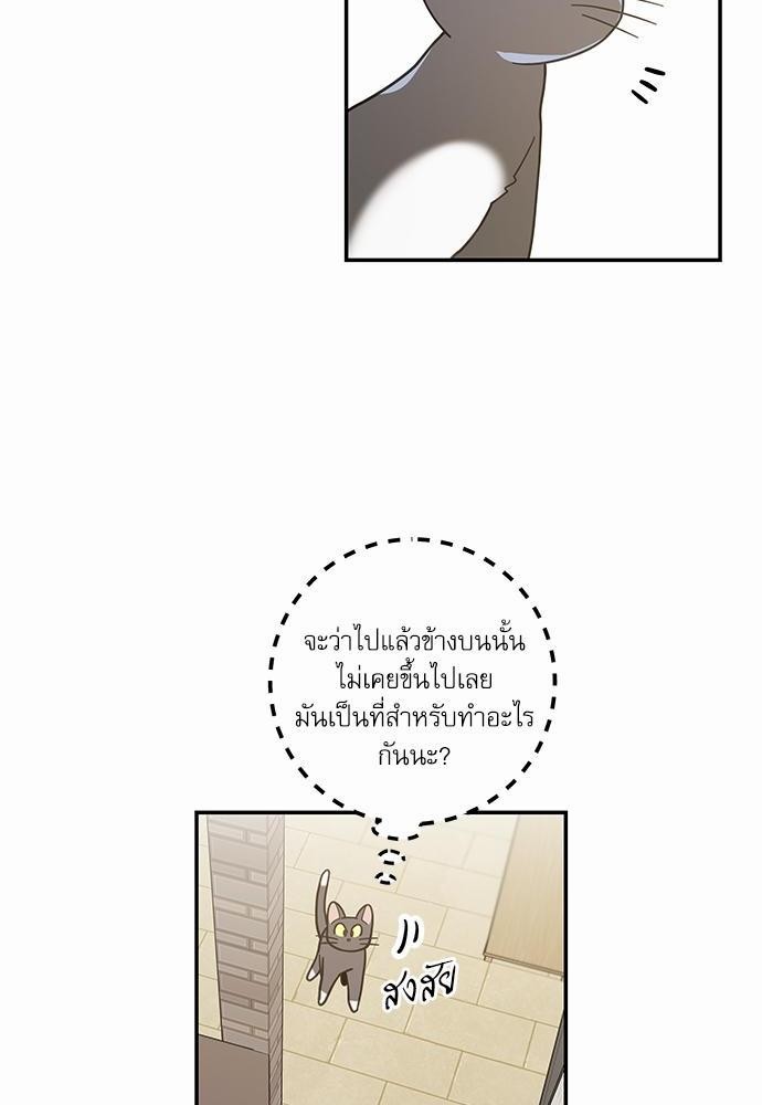 อ่านมังงะวาย