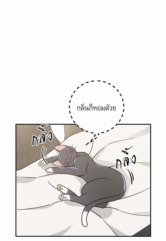 อ่านมังงะวาย