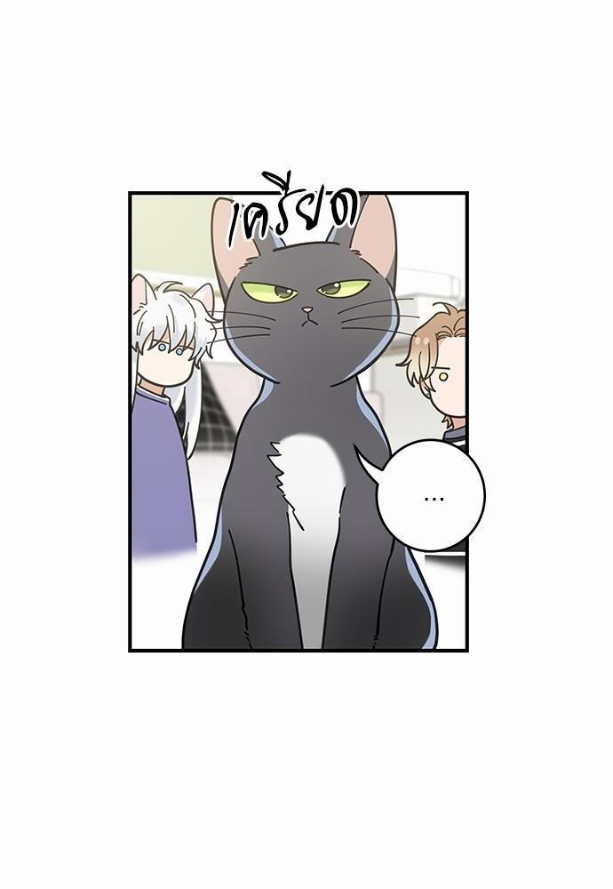 อ่านมังงะวาย
