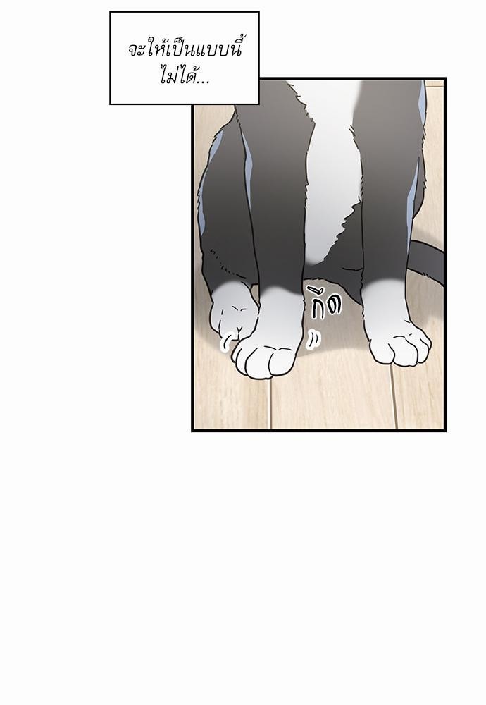 อ่านมังงะวาย