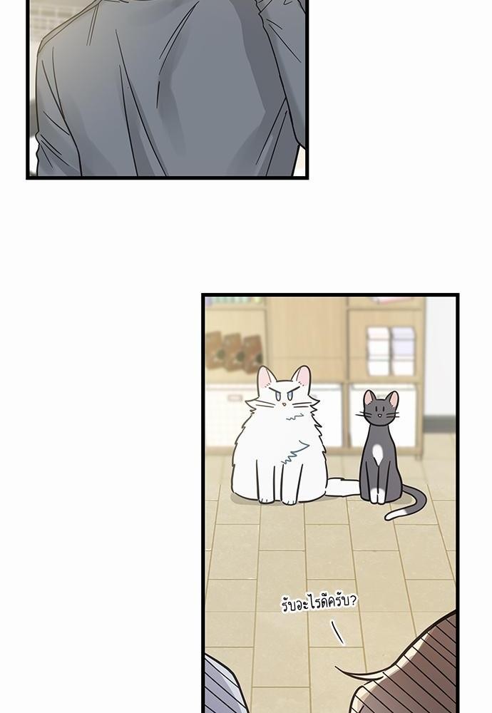 อ่านมังงะวาย