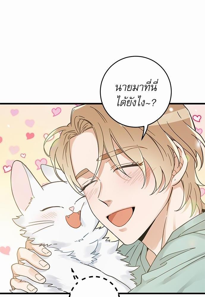 อ่านมังงะวาย