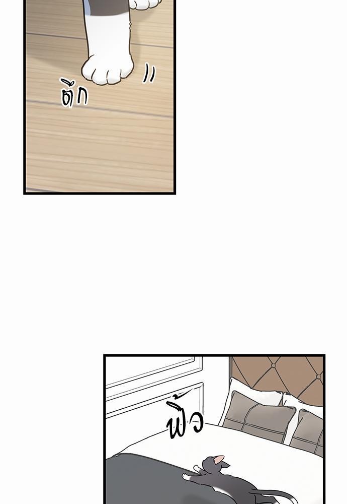 อ่านมังงะวาย