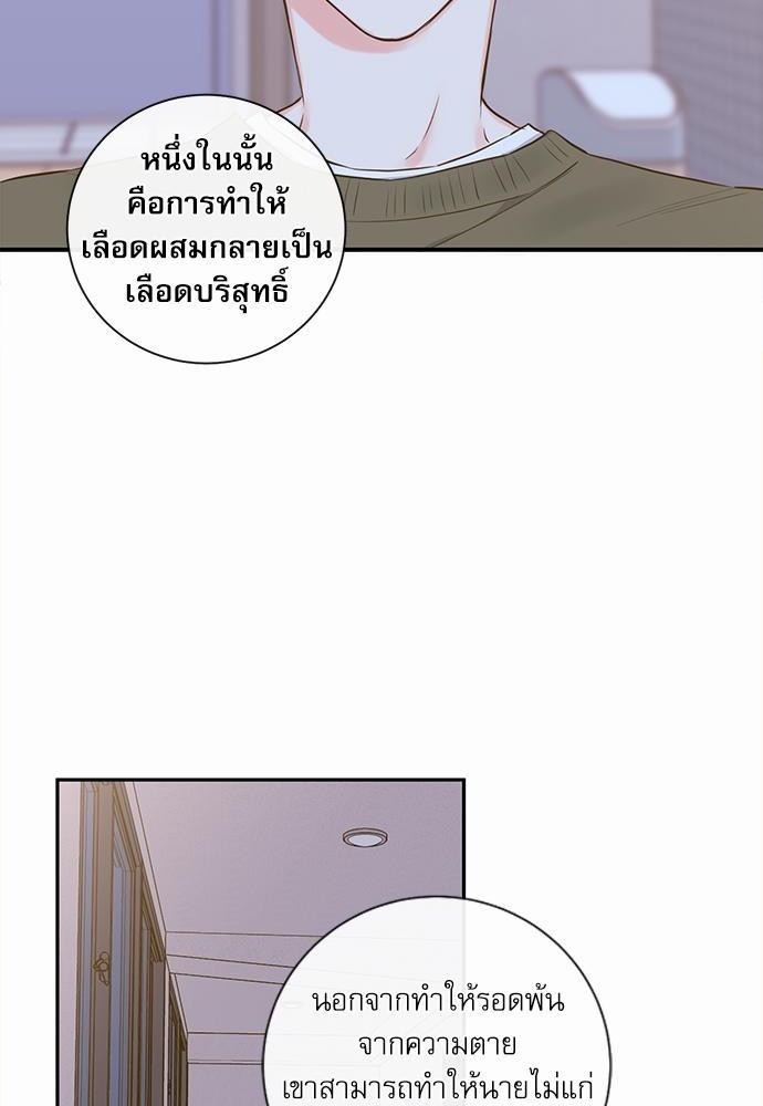 เธเธงเธฒเธกเธฅเธฑเธเธเธญเธเธเธเธฑเธเธเธฒเธ K 13 05