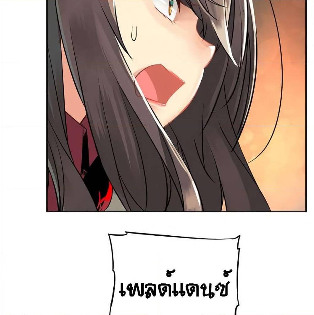 33 (11)