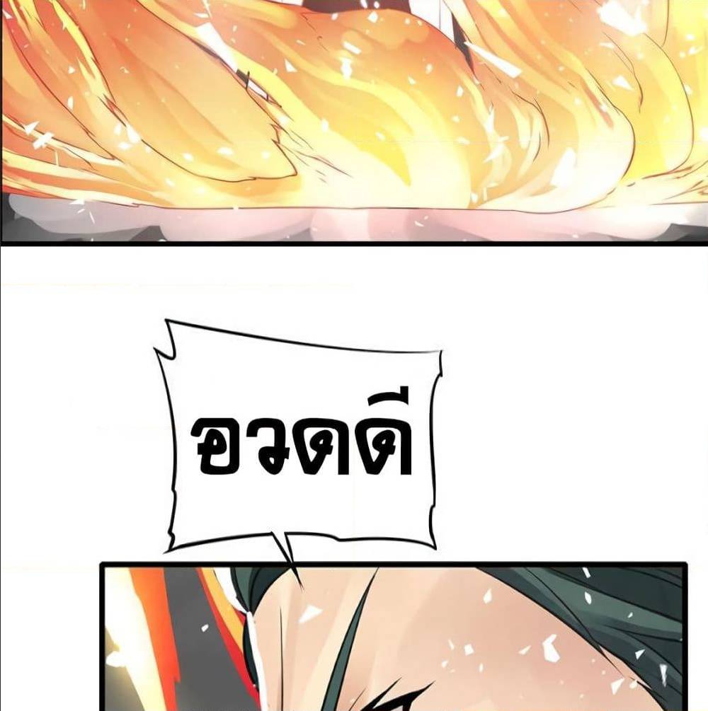 33 (5)
