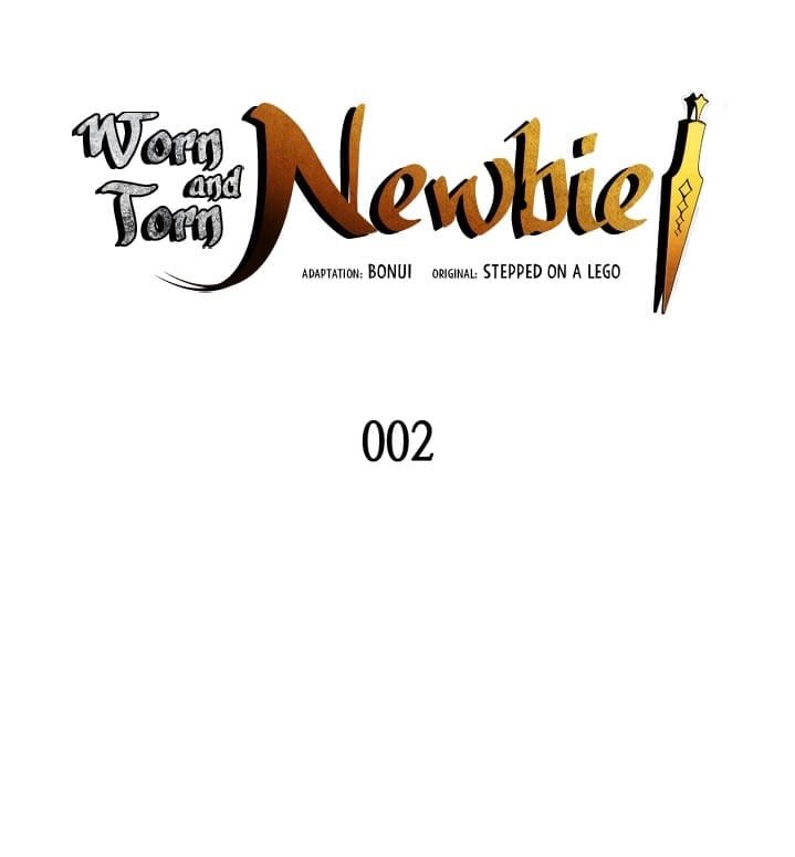 Newbie2 (7)