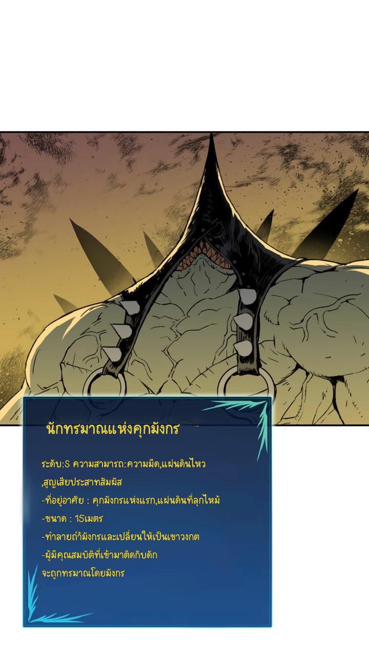 Newbie3 (51)