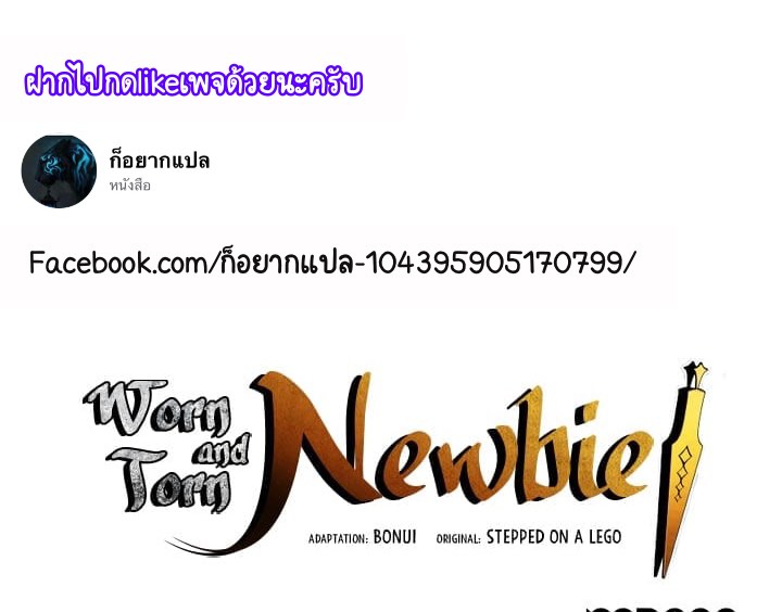 Newbie3 (53)