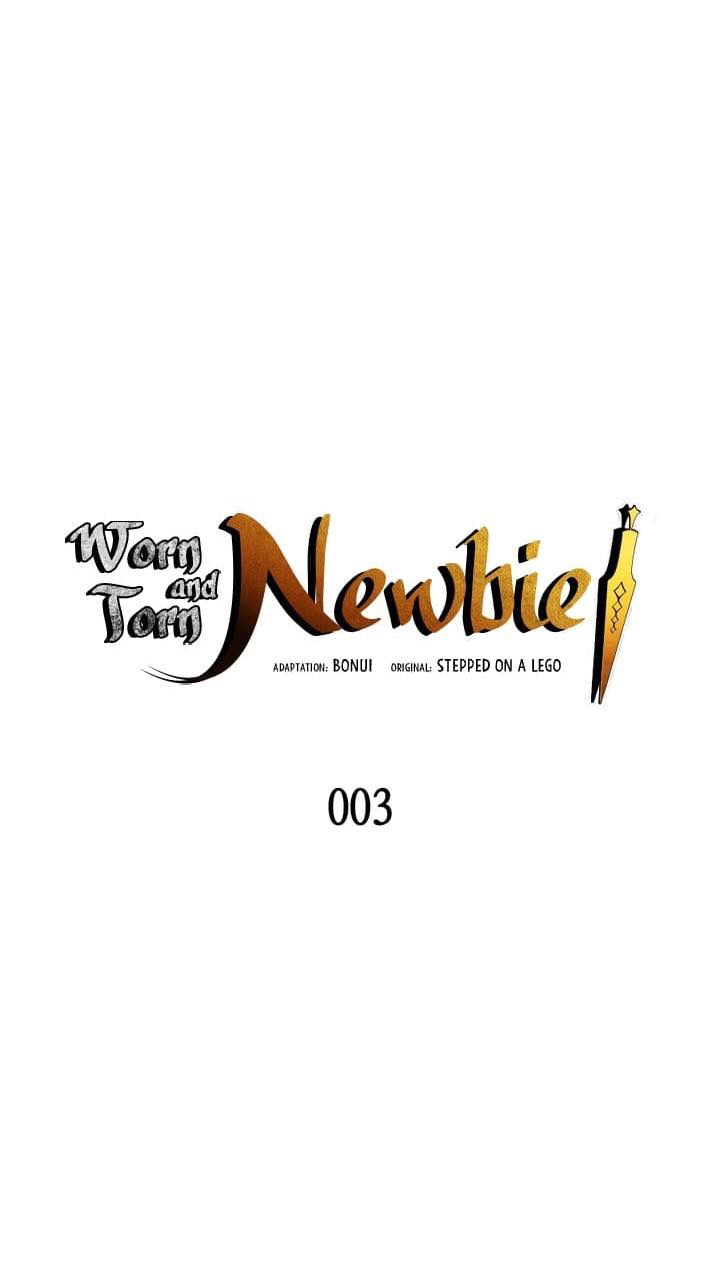Newbie3 (9)