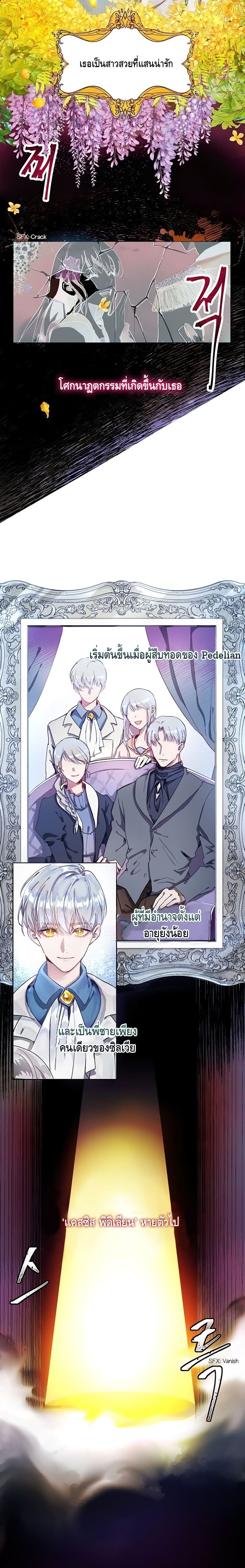 The Way to Protect the Female Leadâ€™s Older Brother 1 07