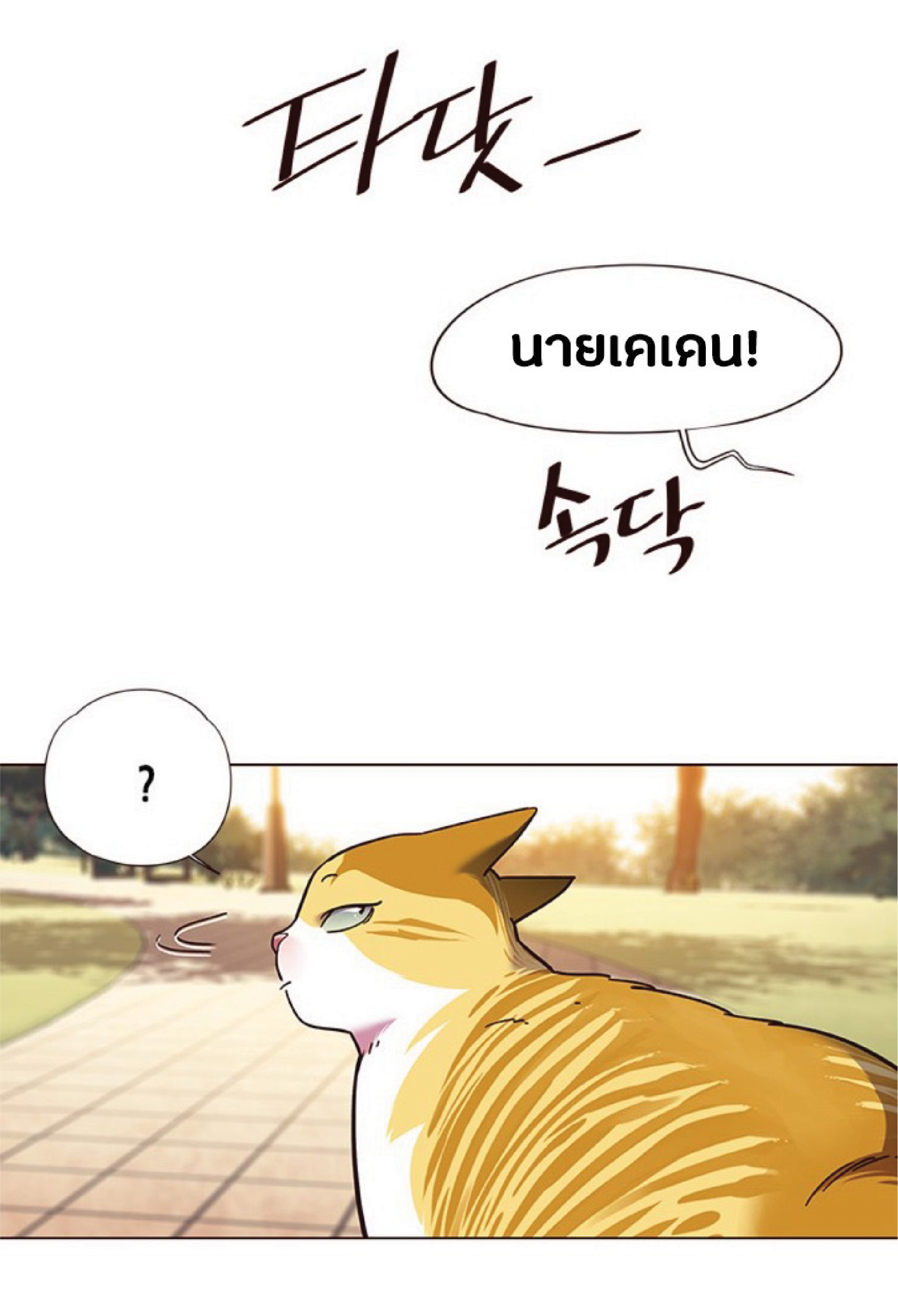 à¸•à¸­à¸™à¸—à¸µà¹ˆ 80 43