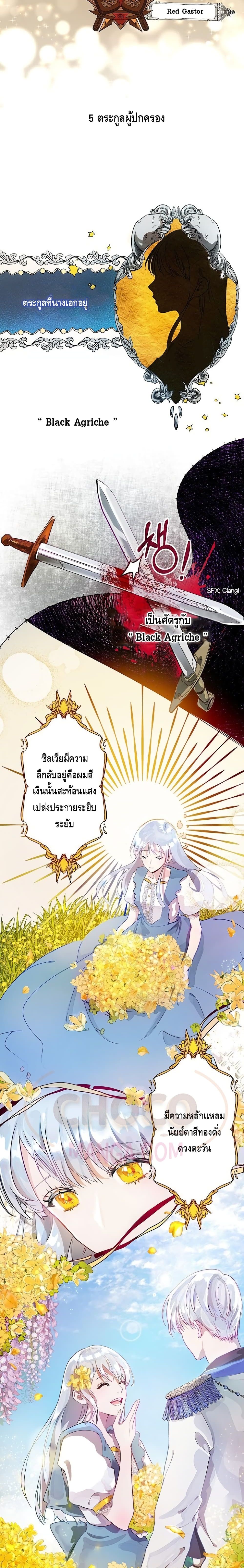 The Way to Protect the Female Leadâ€™s Older Brother 1 06