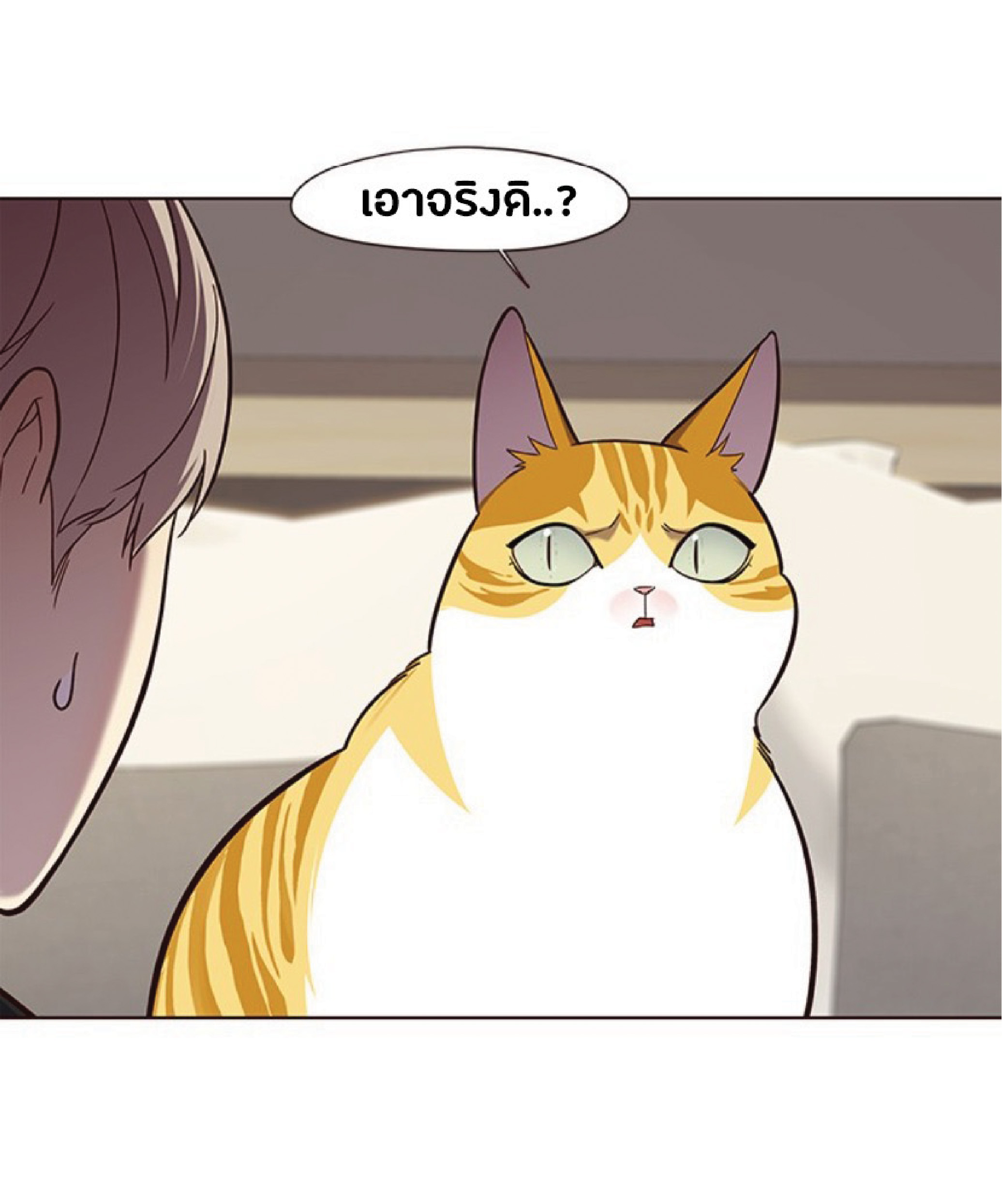 ตอนที่ 82 06