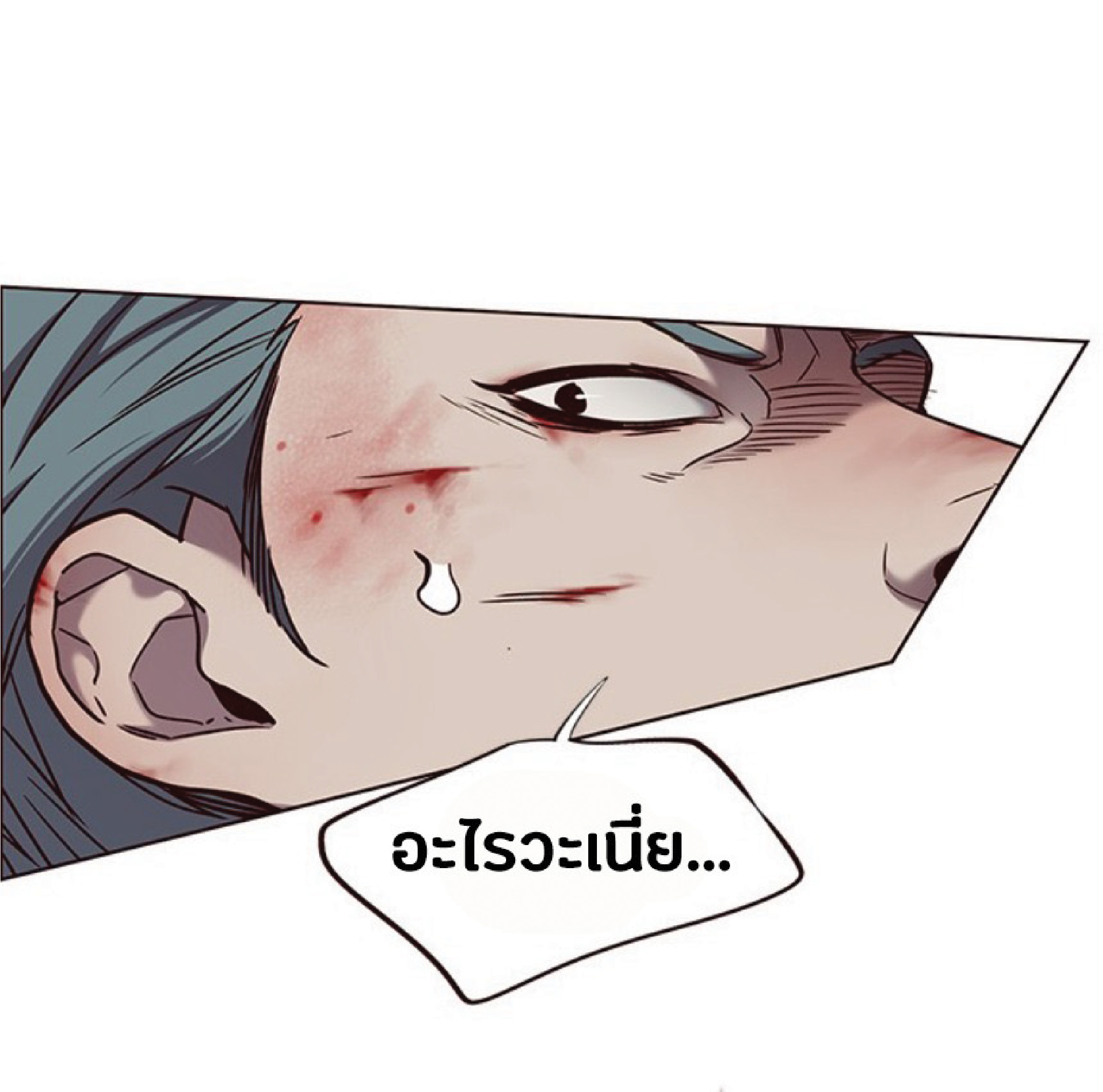 à¸•à¸­à¸™à¸—à¸µà¹ˆ 71 32