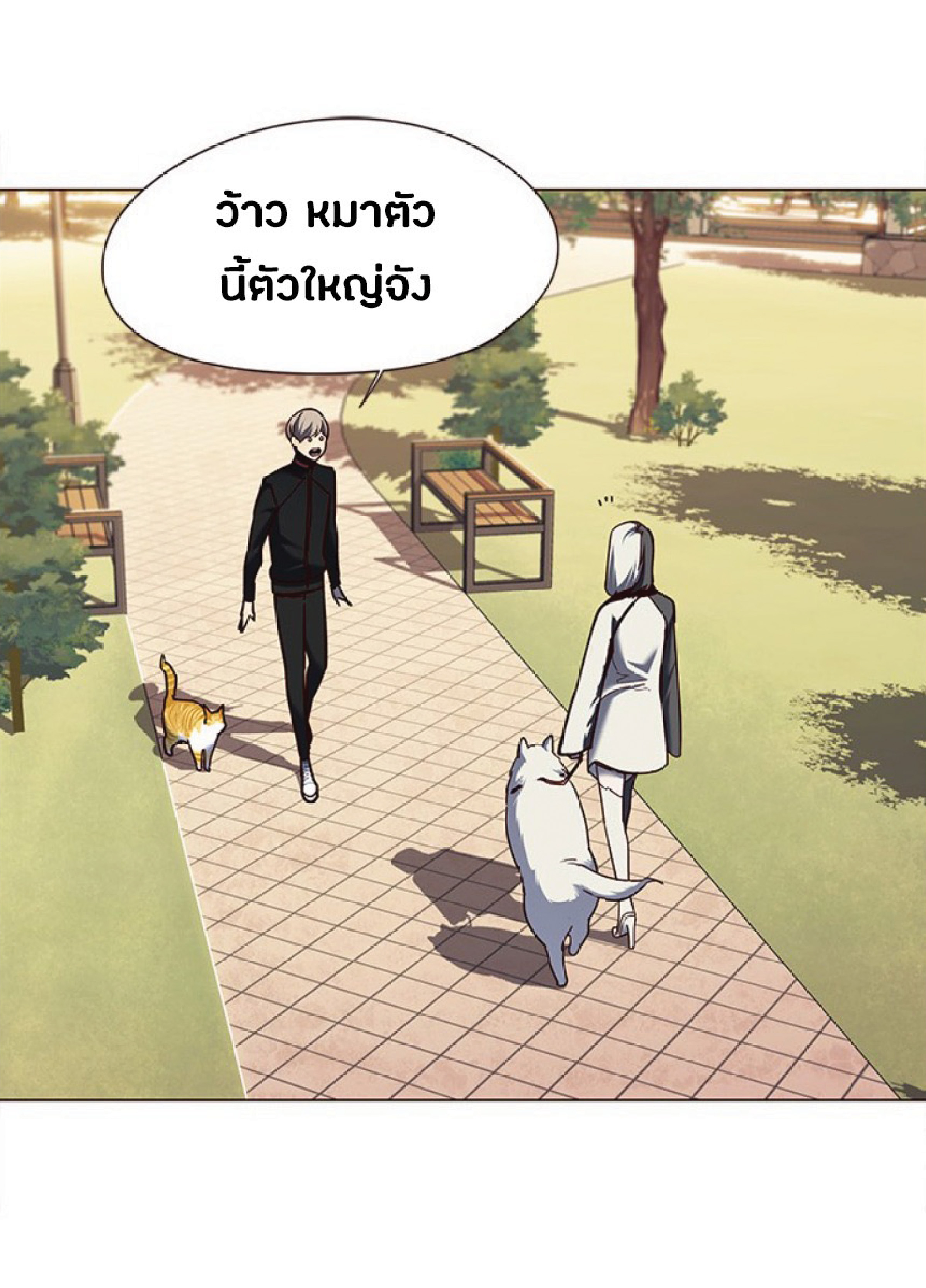 à¸•à¸­à¸™à¸—à¸µà¹ˆ 80 51