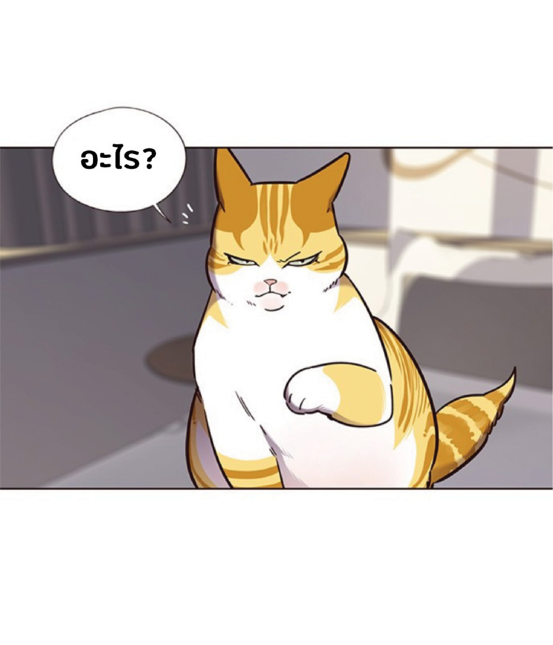 à¸•à¸­à¸™à¸—à¸µà¹ˆ 74 73