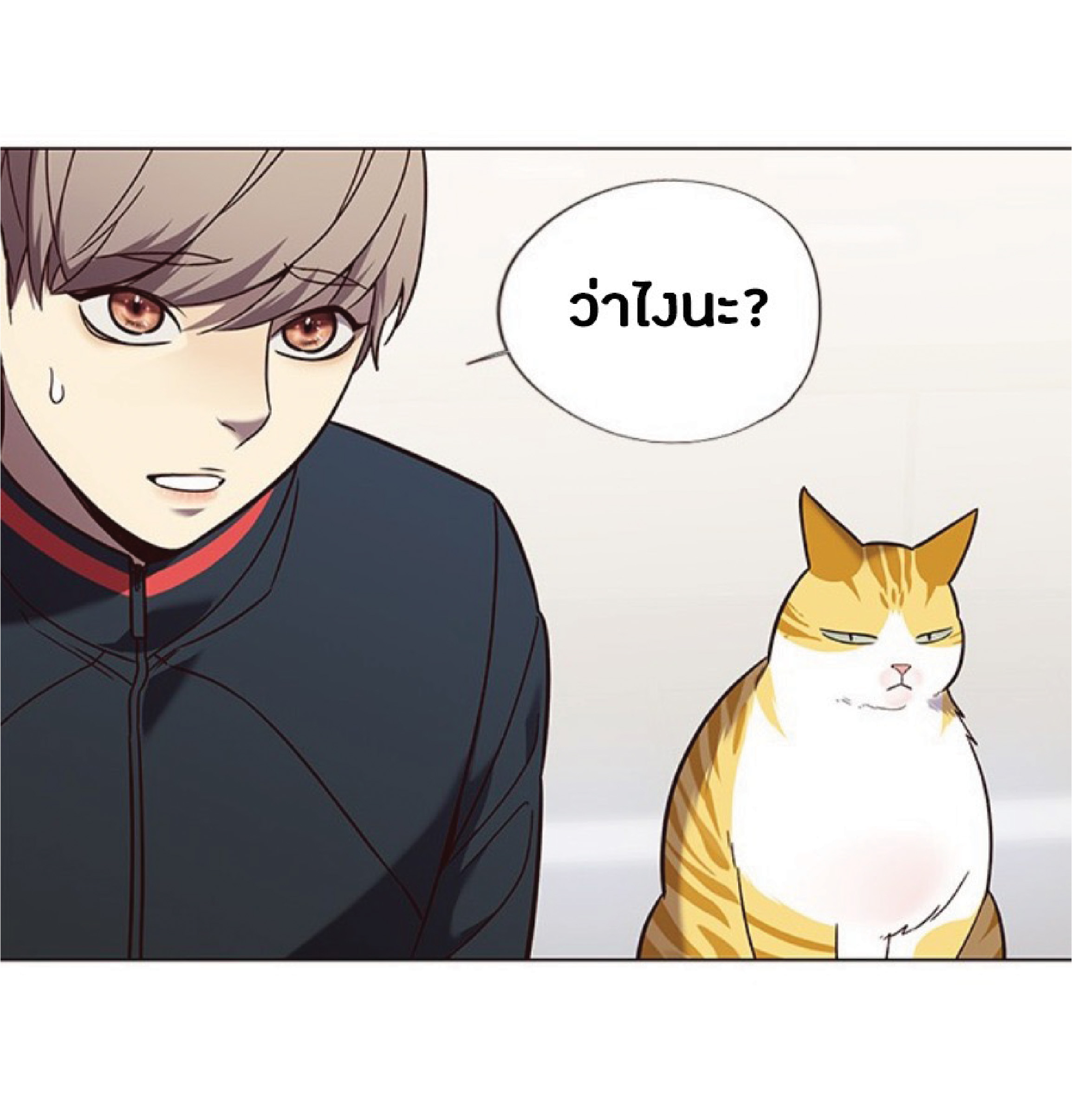 à¸•à¸­à¸™à¸—à¸µà¹ˆ 89 56
