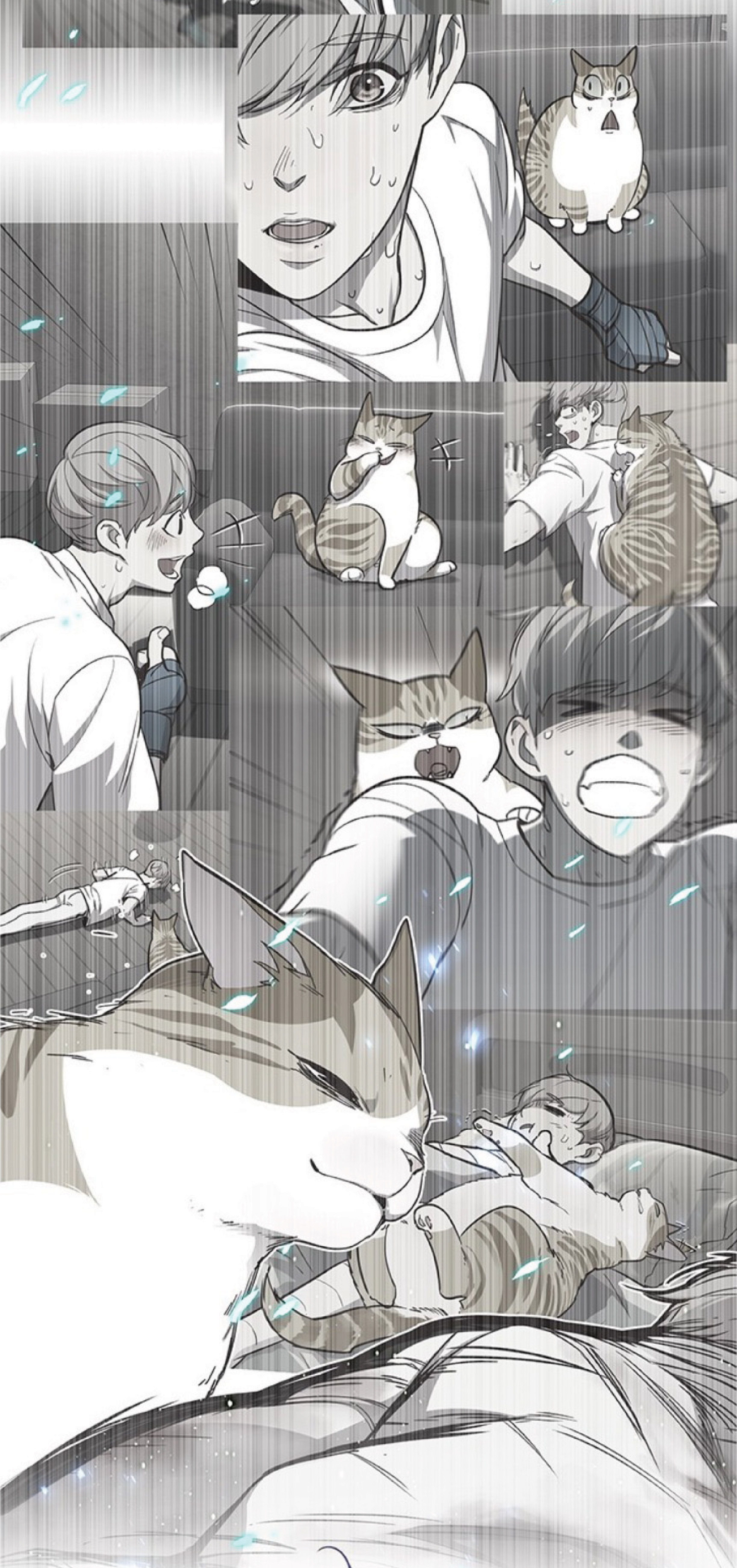 à¸•à¸­à¸™à¸—à¸µà¹ˆ 93 38