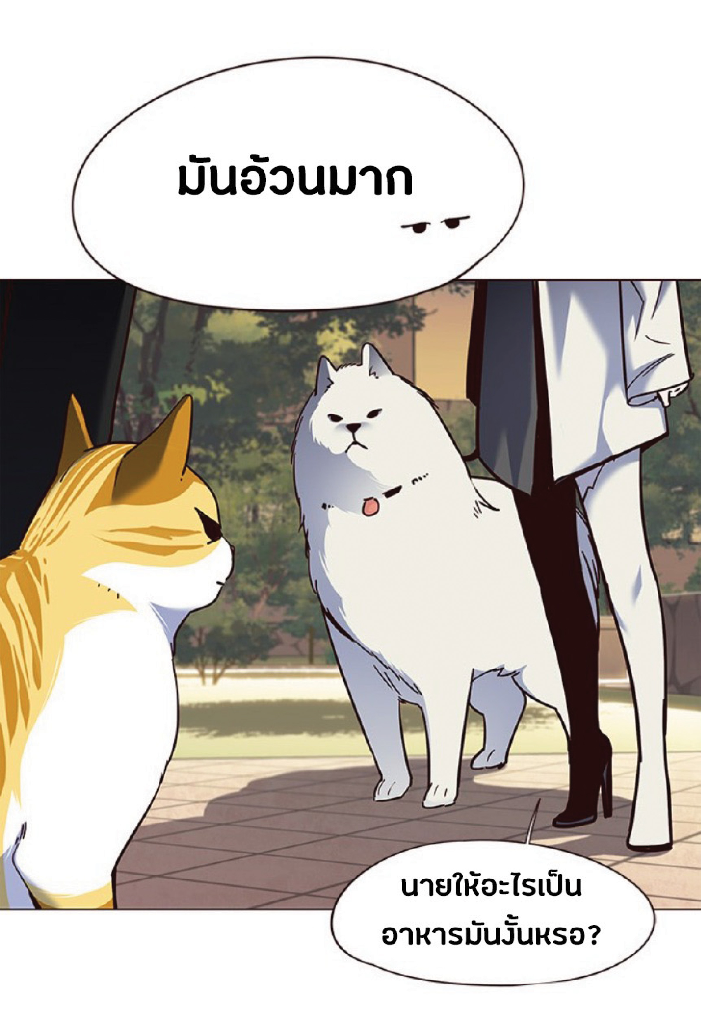 à¸•à¸­à¸™à¸—à¸µà¹ˆ 80 54