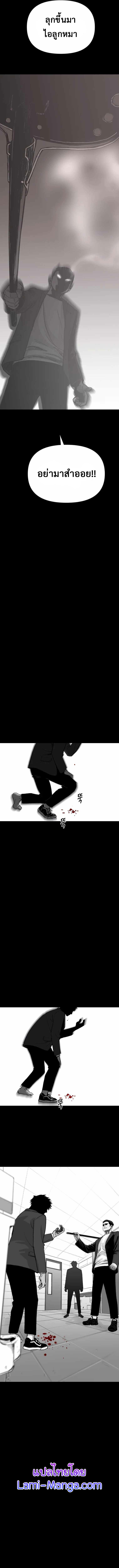 switch1 (18)