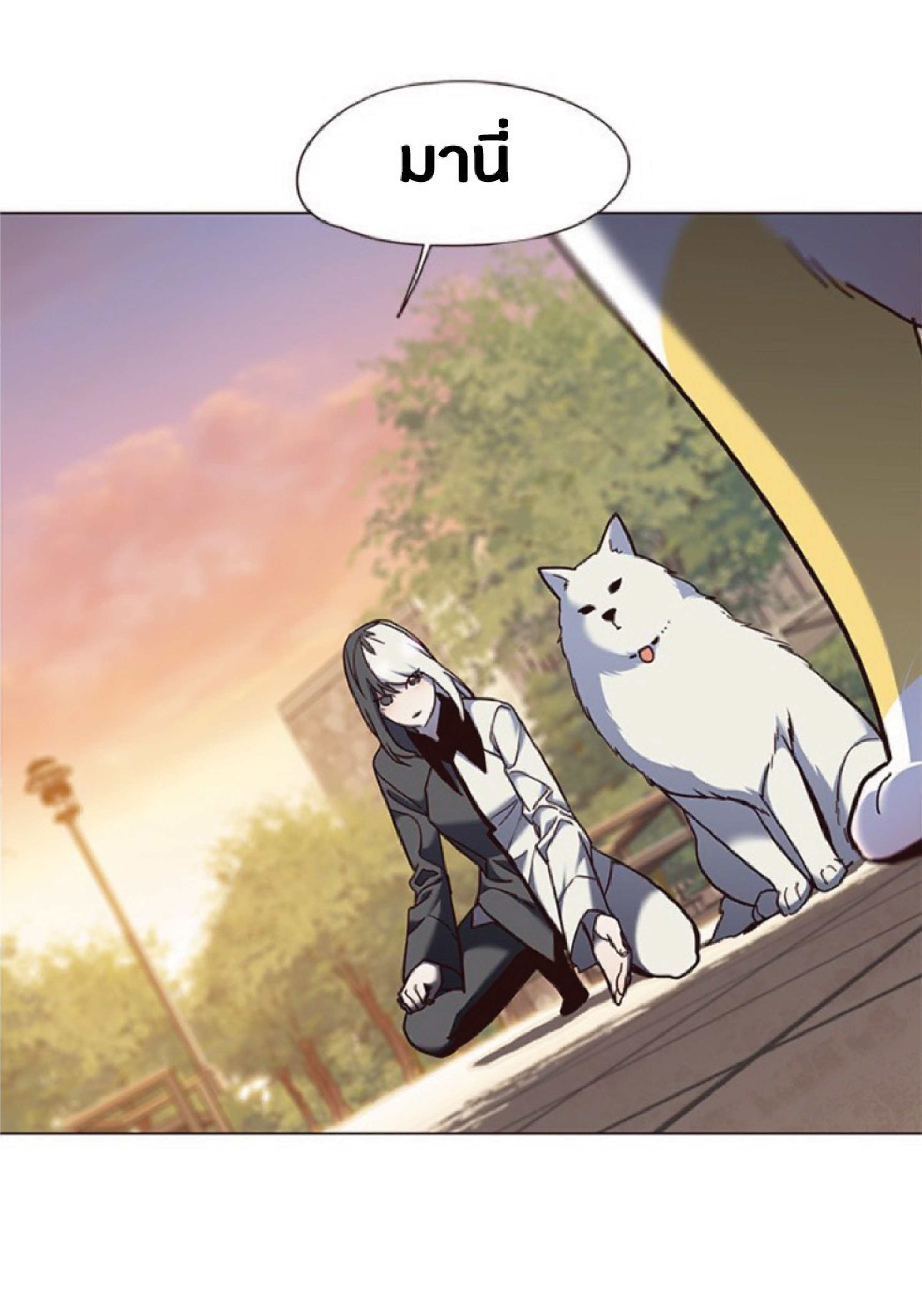 à¸•à¸­à¸™à¸—à¸µà¹ˆ 80 71