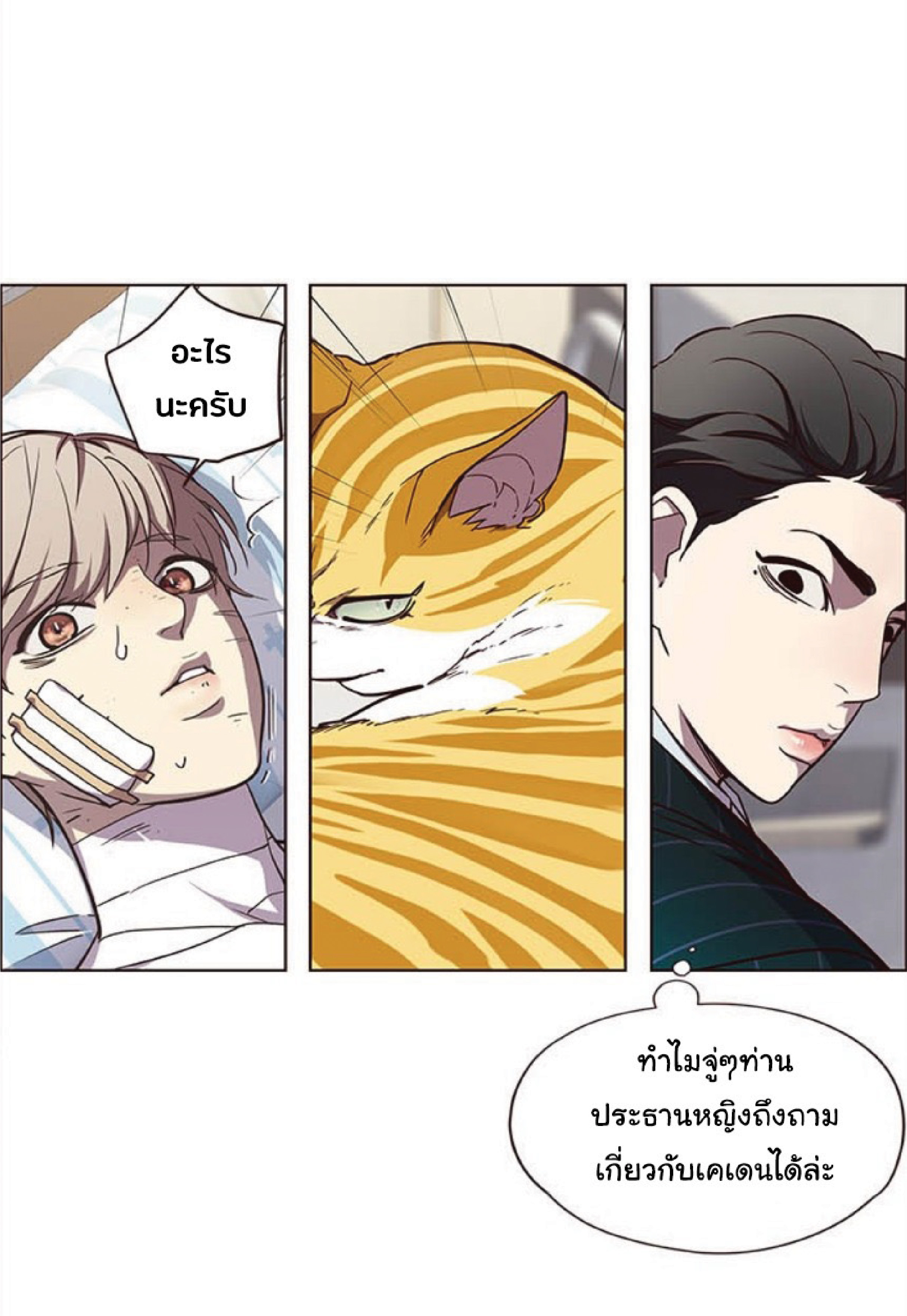 เธ•เธญเธเธ—เธตเน 28 41