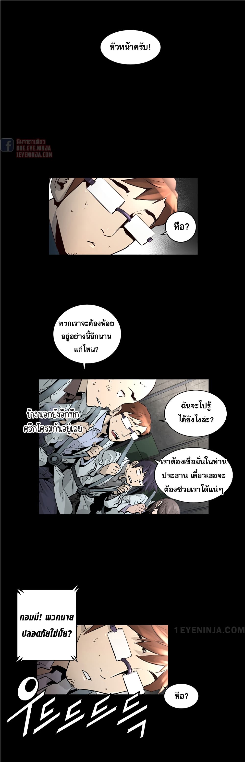 Trinity Wonder 32 (3)