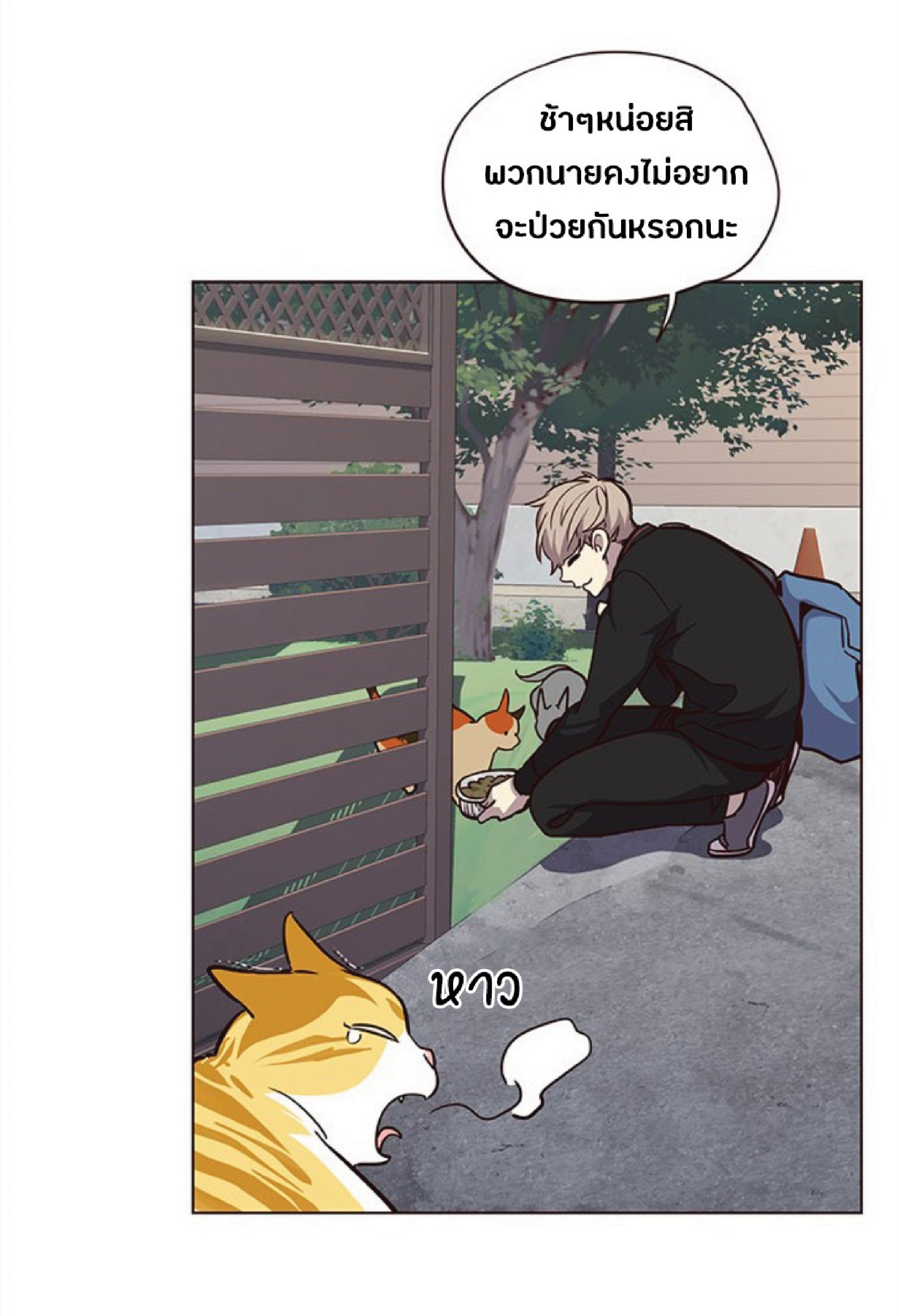 เธ•เธญเธเธ—เธตเน 36 74