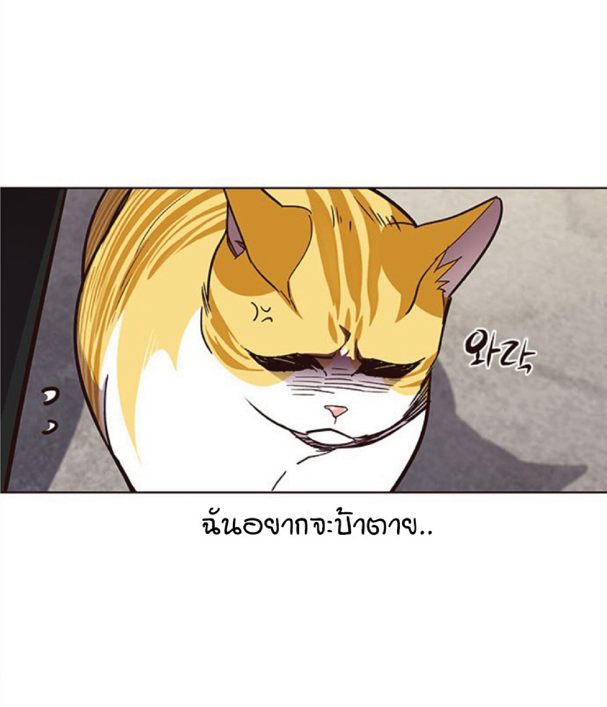 เธ•เธญเธเธ—เธตเน 36 86