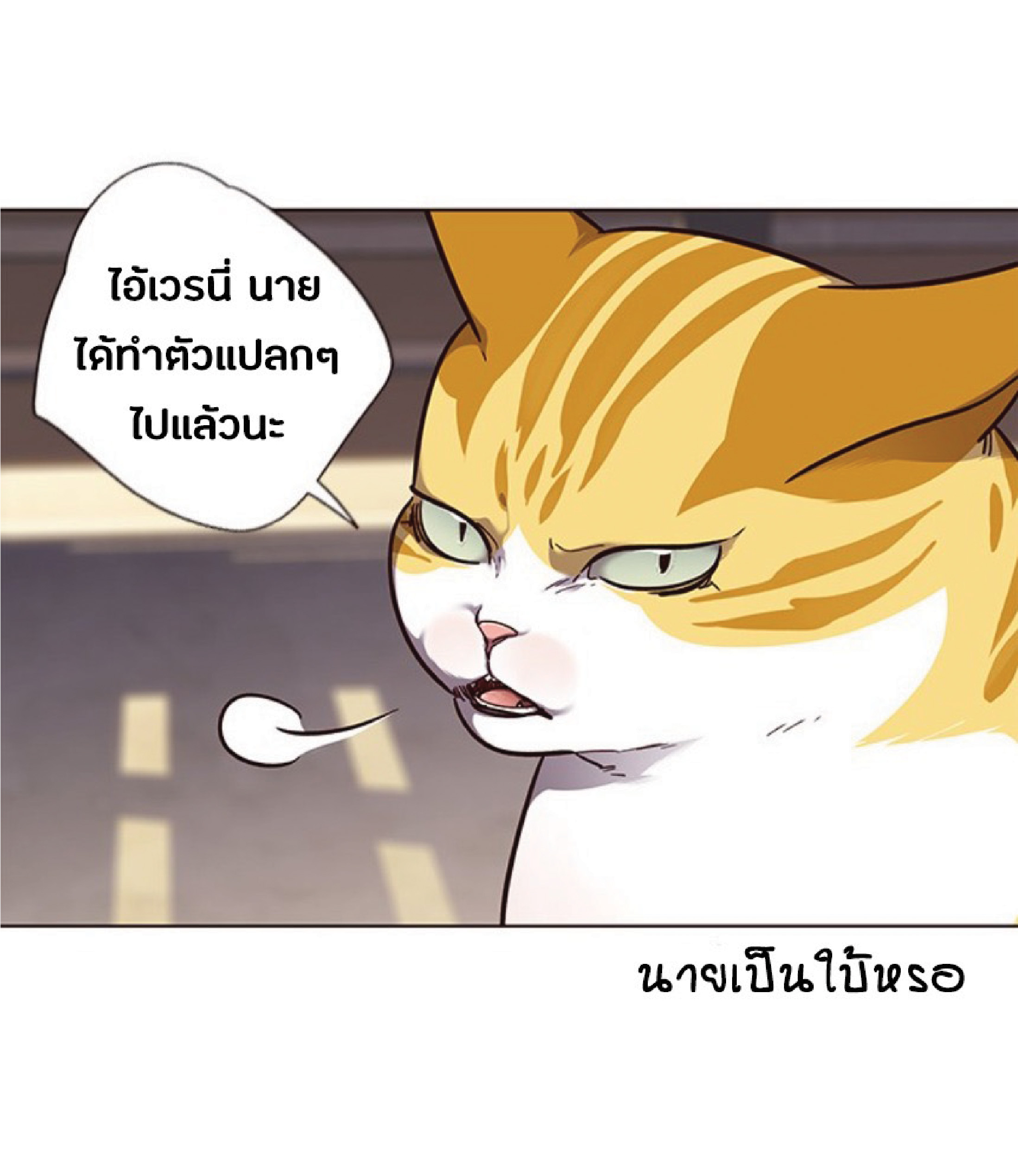 เธ•เธญเธเธ—เธตเน 50 27