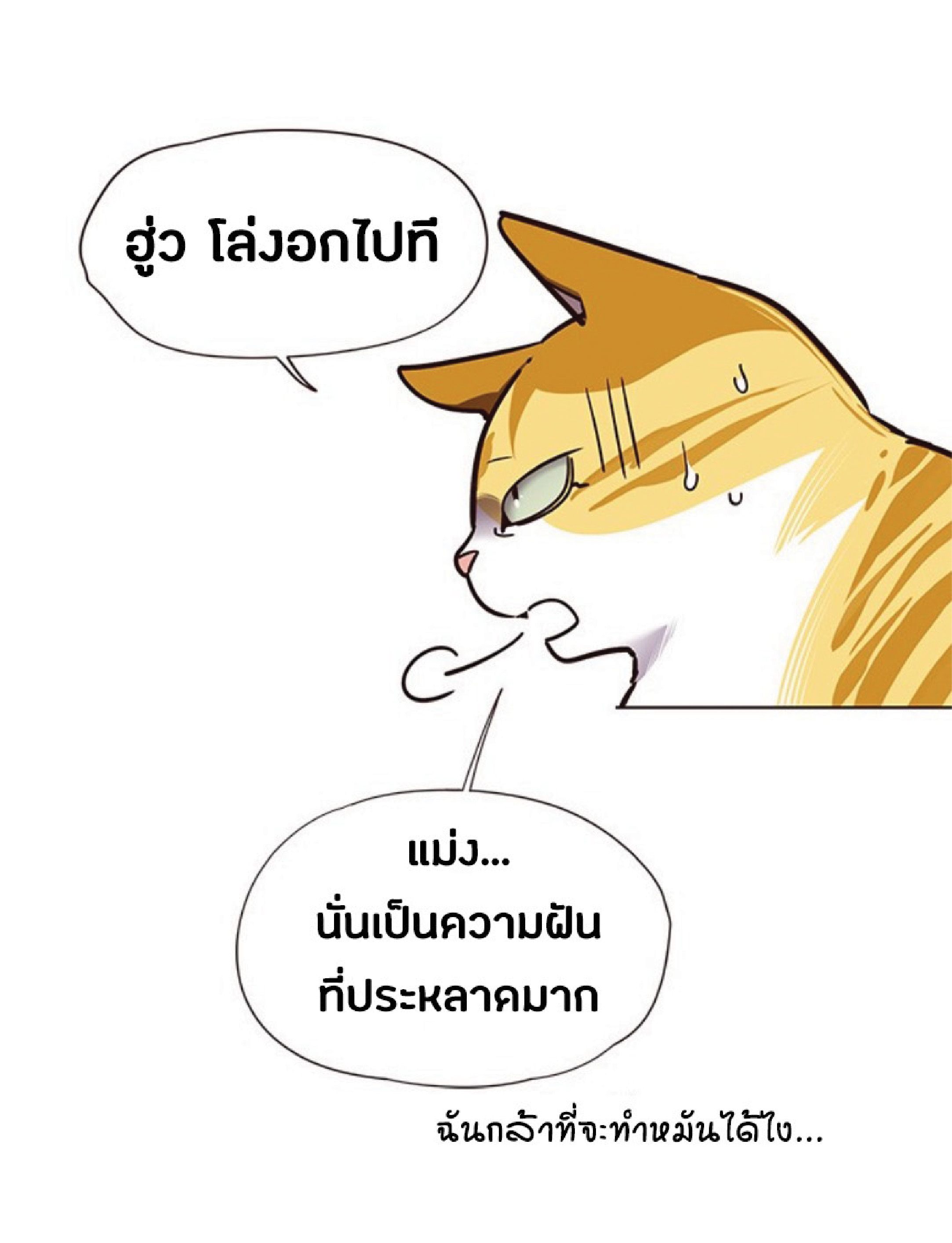 เธ•เธญเธเธ—เธตเน 56 19