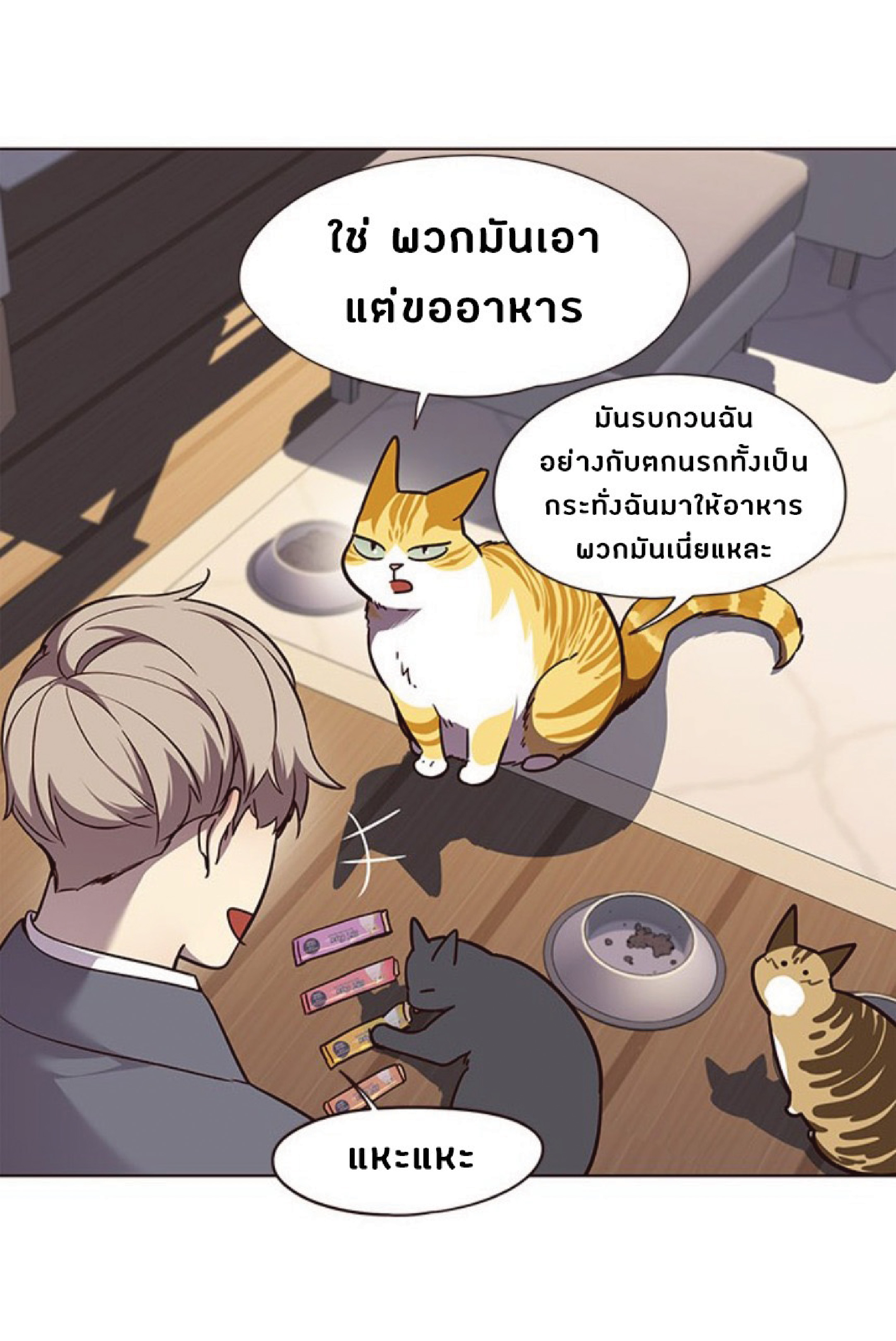 เธ•เธญเธเธ—เธตเน 56 64