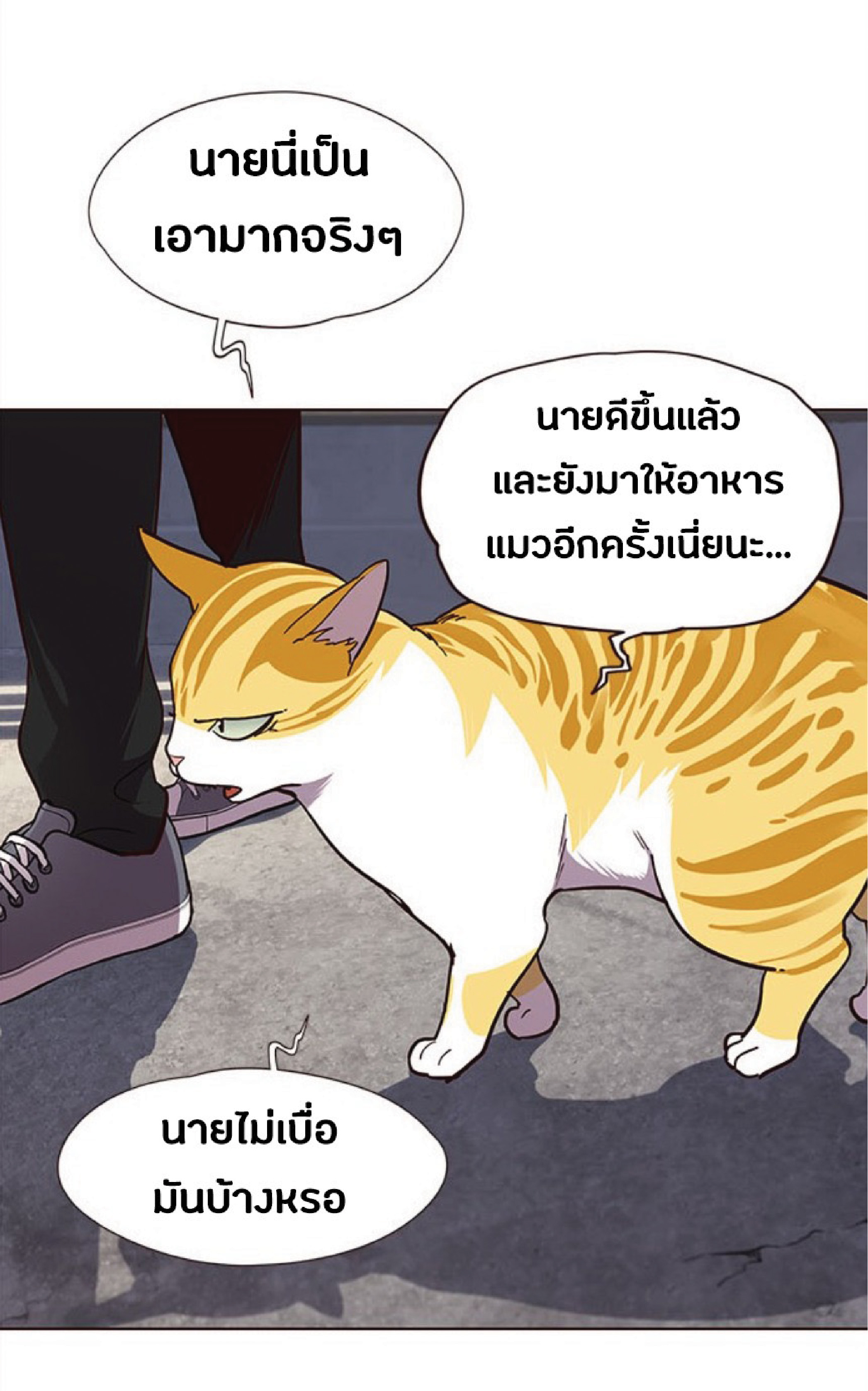 เธ•เธญเธเธ—เธตเน 36 79