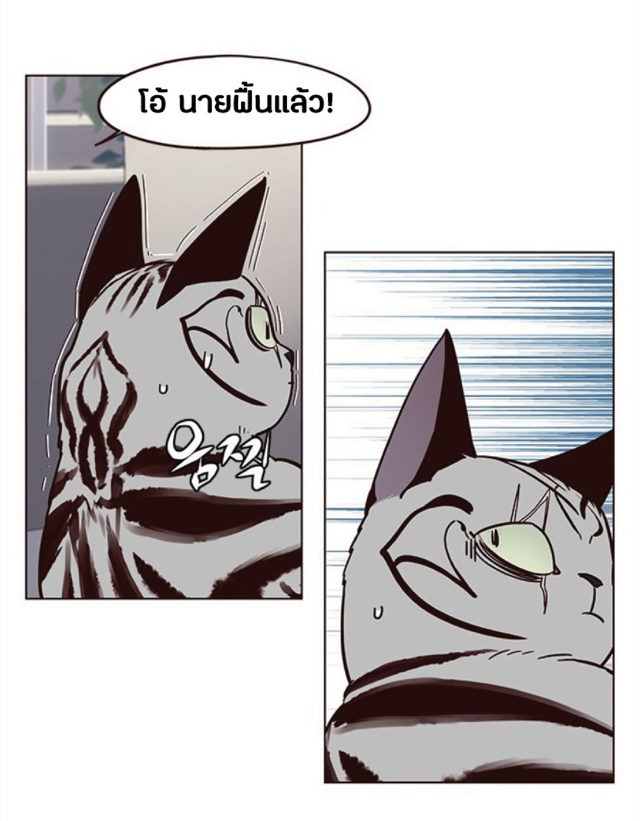 เธ•เธญเธเธ—เธตเน 37 33